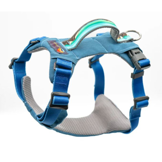 Monty Dog Harness