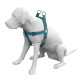 Suzie Dog Harness