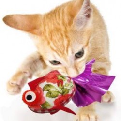 Crink-a-fish and Tenggo Squid Cat Toy