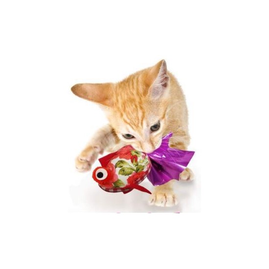 Crink-a-fish and Tenggo Squid Cat Toy