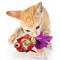 Crink-a-fish and Tenggo Squid Cat Toy