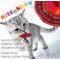 Kitty Binky Cat Toy