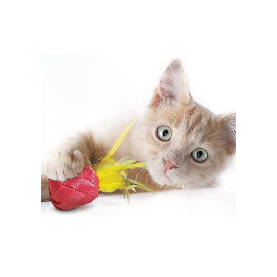 Pina-Catlada