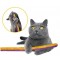 Purro Churro Cat Toy