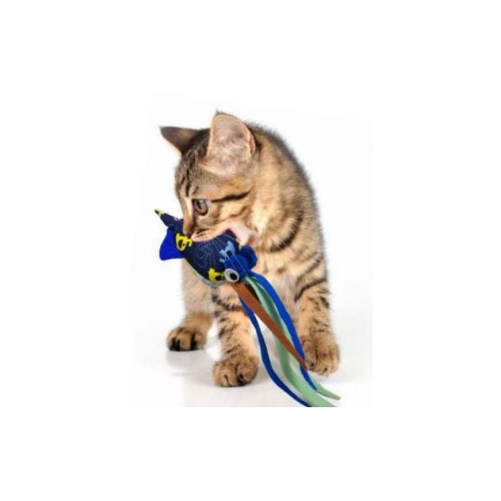 Crink-a-fish and Tenggo Squid Cat Toy
