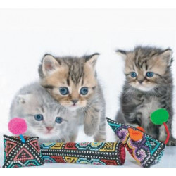 Tippi - Polli - Mice Cat Toys