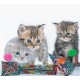Tippi - Polli - Mice Cat Toys