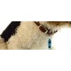 Pet ID Tuub